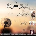 عکس سفر کرده اجرای دلکش