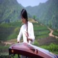 عکس اجرای زنده بسیار زیبای یک ساز چینی (دوباره می بینمت)