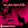 عکس دکلمه شعر خودکشی از محمد خوش بین