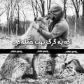 عکس اگه یه گرگ بهت حمله کرد