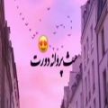 عکس اهنگ مثل پروانه دورت بگردم