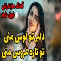 عکس آهنگ شاد مازندرانی | آهنگ دلبر تو لوس منی | آهنگ شاد مجلسی