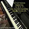 عکس پیوتر ایلیچ چایکوفسکی - آهنگ ناپلی اُپوس 39 شُماره 18 - پیانو : نریمان خلق مظفر
