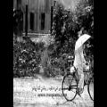 عکس باران عشق ازناصر چشم آذر ایران پیانو iranpiano