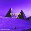 عکس Song Camel by camel