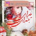 عکس یلدا مبارک / شب شبه یلدا شد