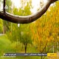 عکس موزیک ویدئو زیبای بارون پاییزی- سیروان خسروی