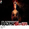 عکس آهنگ black mamba aespa,male version در خواستی