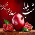 عکس نماهنگ یلدایی عطر گلپر با صدای محسن حشمتی راد