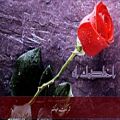 عکس آهنگ عربى -اخاصمك اه (♥) -نانسی with farsi translation