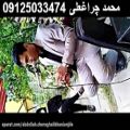 عکس بهشت زهرا 09125033474