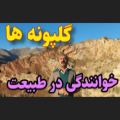 عکس گلپونه های ایرج بسطامی با آواز عبداله ساور در طبیعت زمستانی ارتفاعات البرز