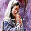 عکس دکلمه شعر جنت روی زمین و باغ رضوان مادر است از محمد خوش بین