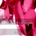 عکس آهنگ عربى - كلی ملكك (♥) - with farsi translation