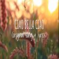 عکس آهنگ Bella Ciao سریال خانه کاغذی - اجرای فولکلور و زیبا
