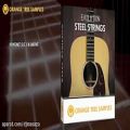 عکس Evolution Acoustic Guitar Steel Strings - Chord Modes