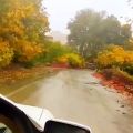 عکس پاییز زیبا/جاده و بارون