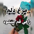 عکس کلیپ غمگین احساسی - دکلمه غمگین به مناسبت حضرت معصومه ص