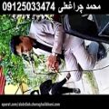 عکس خاکسپاری و تشییع جنازه 09125033474