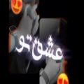 عکس کلیپ عاشقانه/استوری عاشقانه/آهنگ عاشقانه