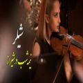 عکس گروه شیلر؛ اجرای قطعه‌ی نیمه شب در شیراز