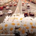 عکس آهنگ عاشقانه/محمد علیزاده