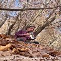 عکس اخراجی ها در خزان زیبای باغ جوزای استهبان