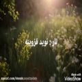 عکس آلبوم همنوا با مولانا اثر حسن اسدزاده