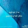 عکس آلبوم‌ همنوا با مولانا اثر حسن اسدزاده