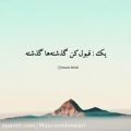 عکس کلیپ حقیقت زندگی / پنج درس مهم زندگی / حرف حق