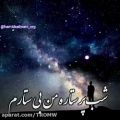 عکس آهنگ شب پر ستاره - حسین حیدری