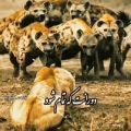 عکس #تنهایی خیلی سخته