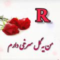 عکس Rجان تقدیم به تو//کلیپ عاشقانه//کلیپ عاشقانه اسمی جدید