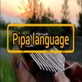 عکس آهنگ pipa language همراه با نت