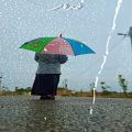 عکس استوری شکرانه باران