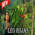 عکس لئو روخاس | موسیقی پان فلوت 2022 __ 64 دقیقه | LEO ROJAS RAIMY SALAZAR