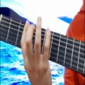 عکس بداهه نوازی بسیار زیبای گیتار توسط استاد امیر کریمی