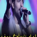 عکس اجرای آهنگ «حیف» توسط امیر مقاره در کنسرت ماکان بند
