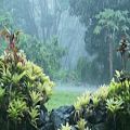 عکس صدای بارش باران در محیطی دلنشین و به همراه آواز پرندگان (موسیقی طبیعت 5)