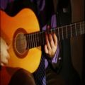 عکس گیتار کلاسیک عرفان خلیلیان erfan khalilian guitar classic