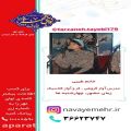 عکس خانم طیبی - مدرس آواز- موسسه فرهنگی هنری اصفهان