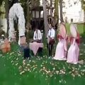 عکس گروه موسیقی سنتی اجرای مراسم عروسی عقد ۰۹۱۲۰۰۴۶۷۹۷ عبدالله پور