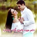 عکس موزیک عاشقانه آروم آروم/گرشا رضایی