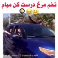 عکس امیر و تخم مرغ