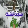 عکس نماهنگ،،،دختر چوپون،،