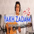 عکس شادمهر عقیلی - یخ زدم | Shadmehr Aghili - Yakh Zadam