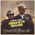 عکس موزیک ویدیو اصلی اهنگ meganta riddim از dj snake به مناسب 100 تایی شدمون