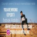 عکس Babak Habibi - You Are Wrong ( Album Edit ) - بابک حبیبی