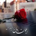 عکس عشق جان تقدیم به تو//کلیپ عاشقانه//کلیپ عاشقانه اسمی جدید