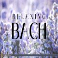 عکس موسیقی کلاسیک باخ برای آرامش | موسیقی بیکلام